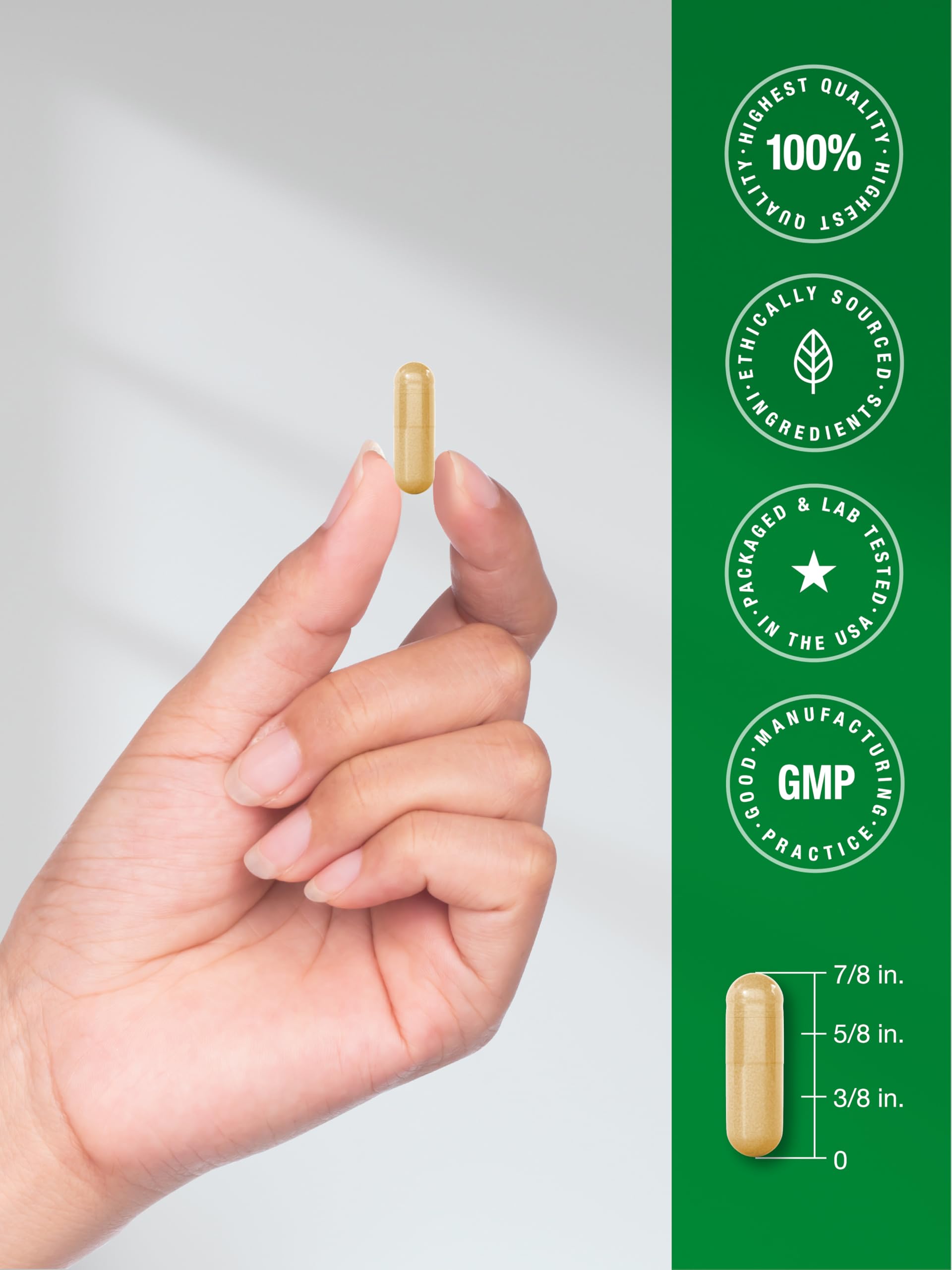 Horbäach Liver Support | 600 mg Milk Thistle | 90 Vegetarian Capsules | Herbal Detox Formula | Non-GMO, Gluten Free - Image 7