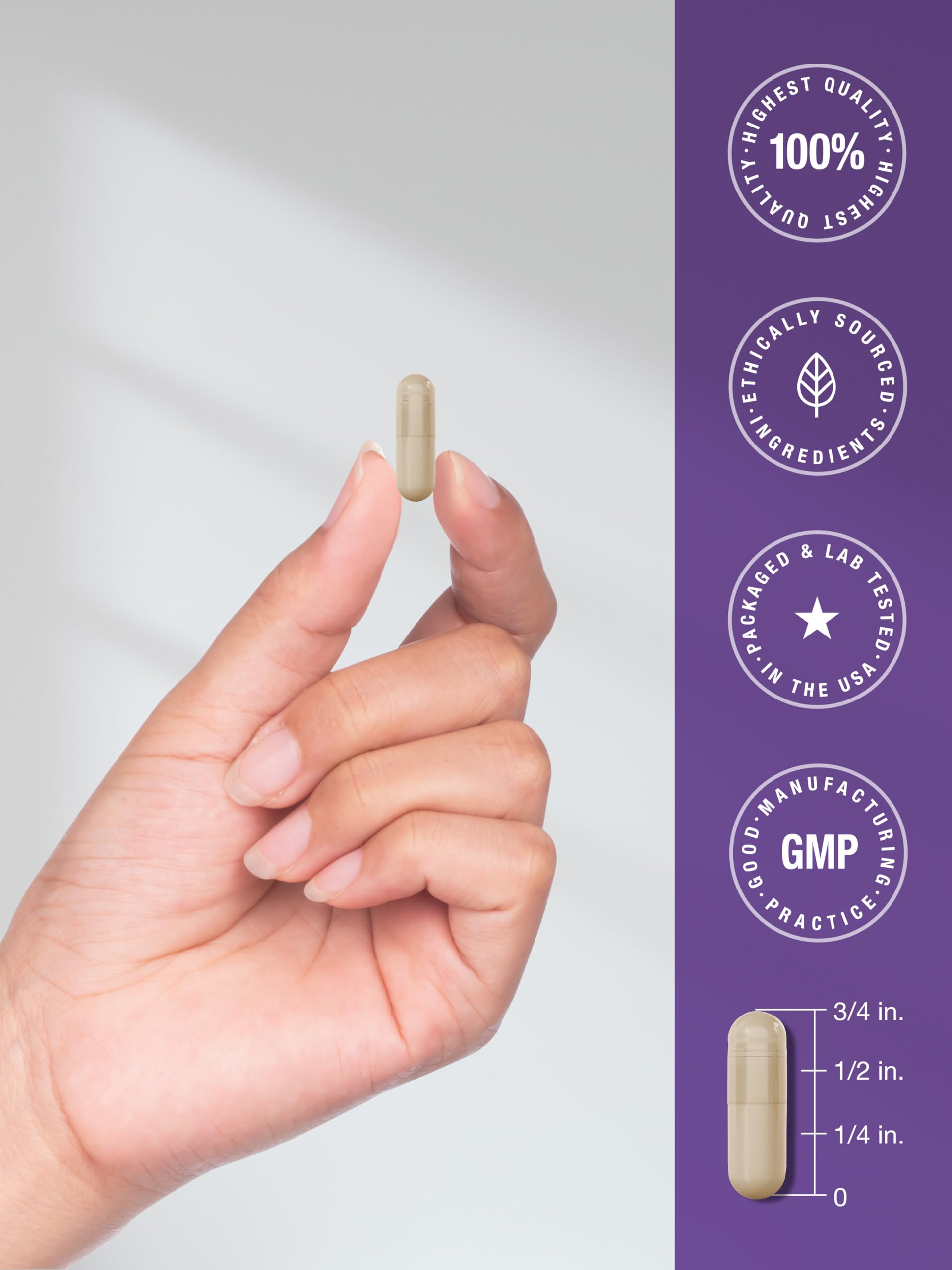 Horbäach Probiotic 100 Billion CFU | 60 Capsules | 31 Probiotic Strains | with Prebiotic Fiber | Vegan, Non GMO, Gluten Free Supplement - Image 7