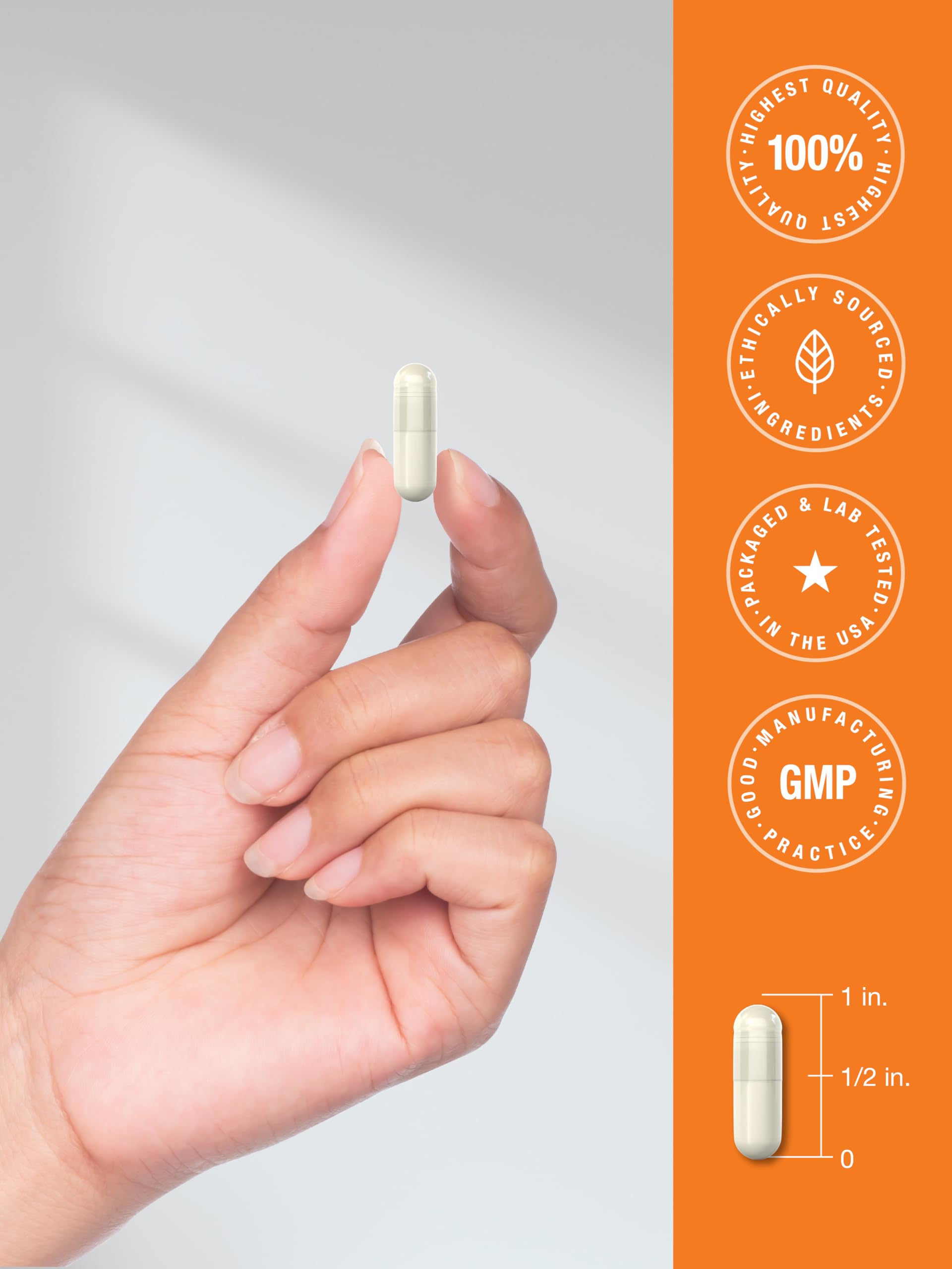 Horbäach Vitamin D3 K2 | 5000 IU D3 | 120 Capsules | with Magnesium, Zinc, & Quercetin | Vegetarian, Non-GMO, Gluten Free Supplement - Image 7