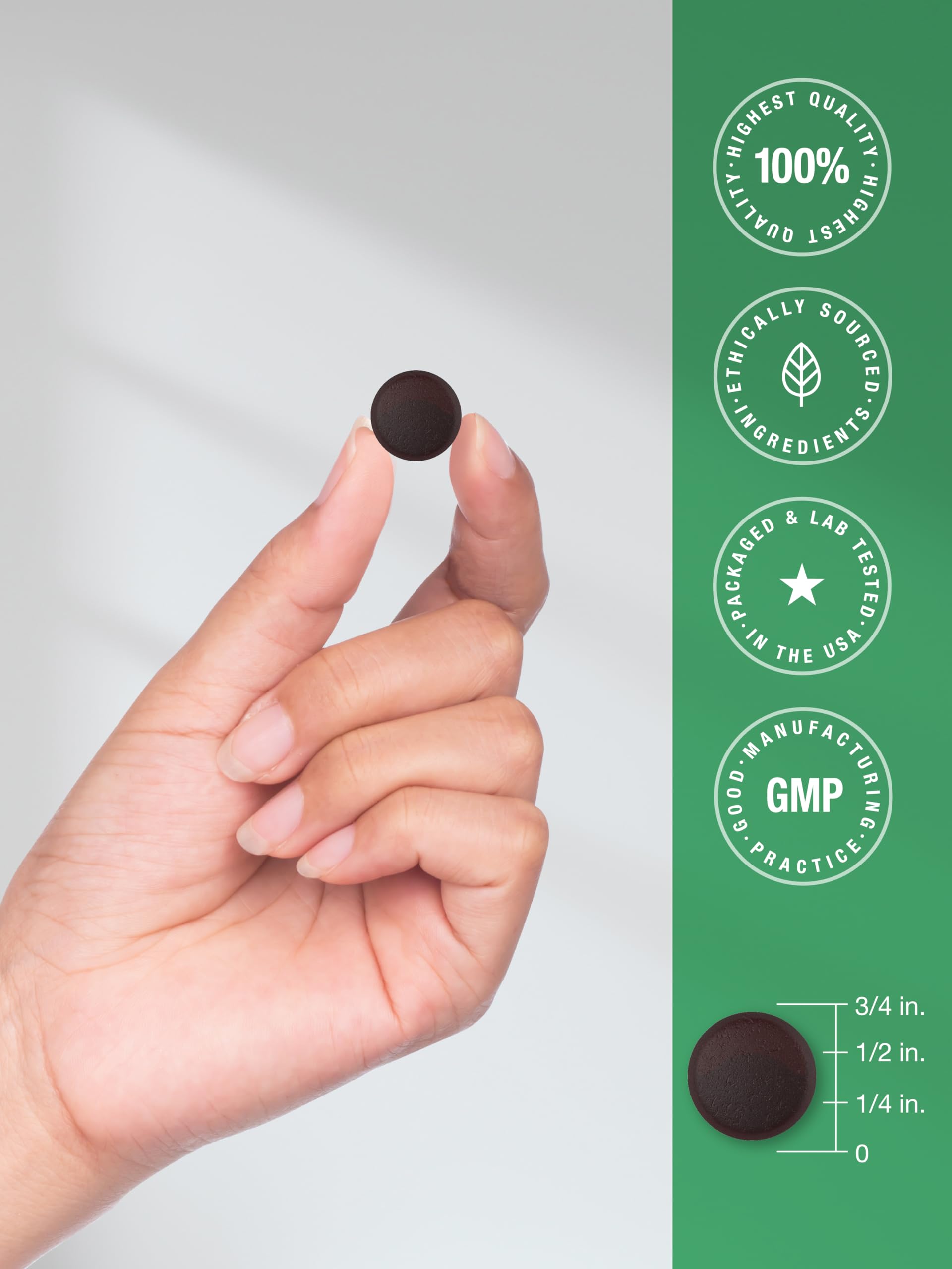 Horbaach Lions Mane Supplement | 60 Gummies | 10-in-1 Mushroom Complex | with Turkey Tail, Reishi, Cordyceps, Chaga, Maitake, and Shiitake | Blueberry Flavor | Non-GMO & Gluten Free - Image 7